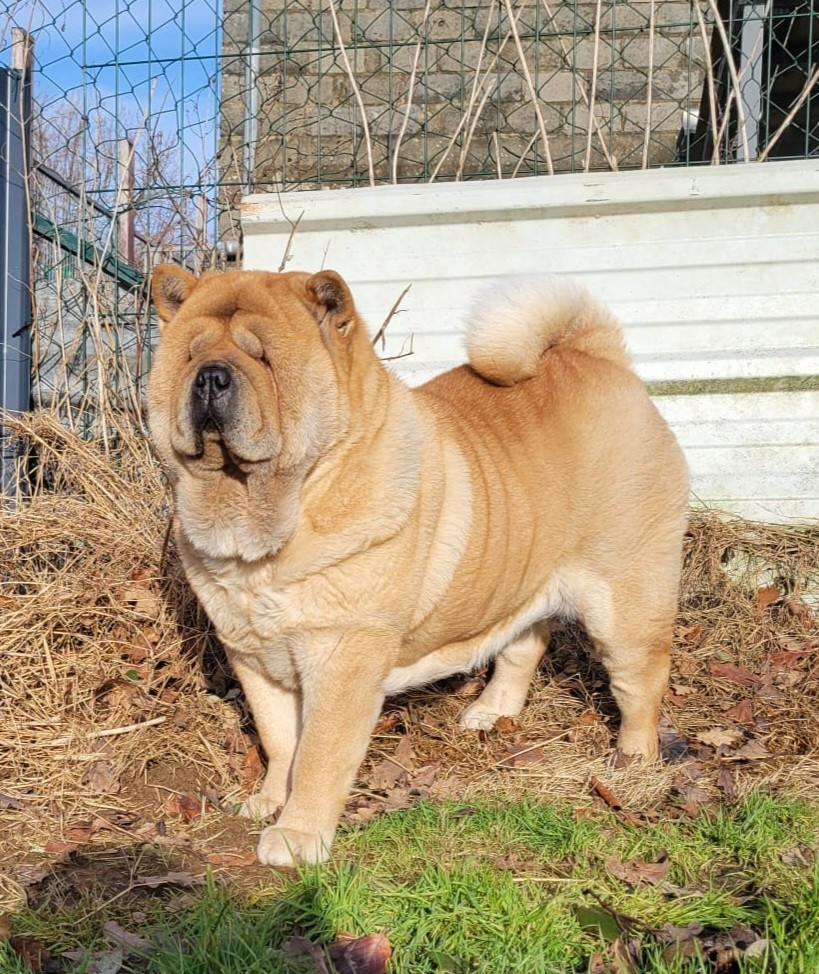 Seiko Le domaine de fabadel